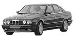 BMW E34 P22D0 Fault Code